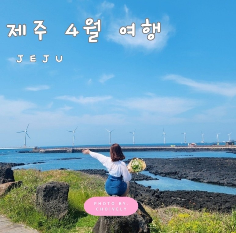 제주서쪽 이미지
