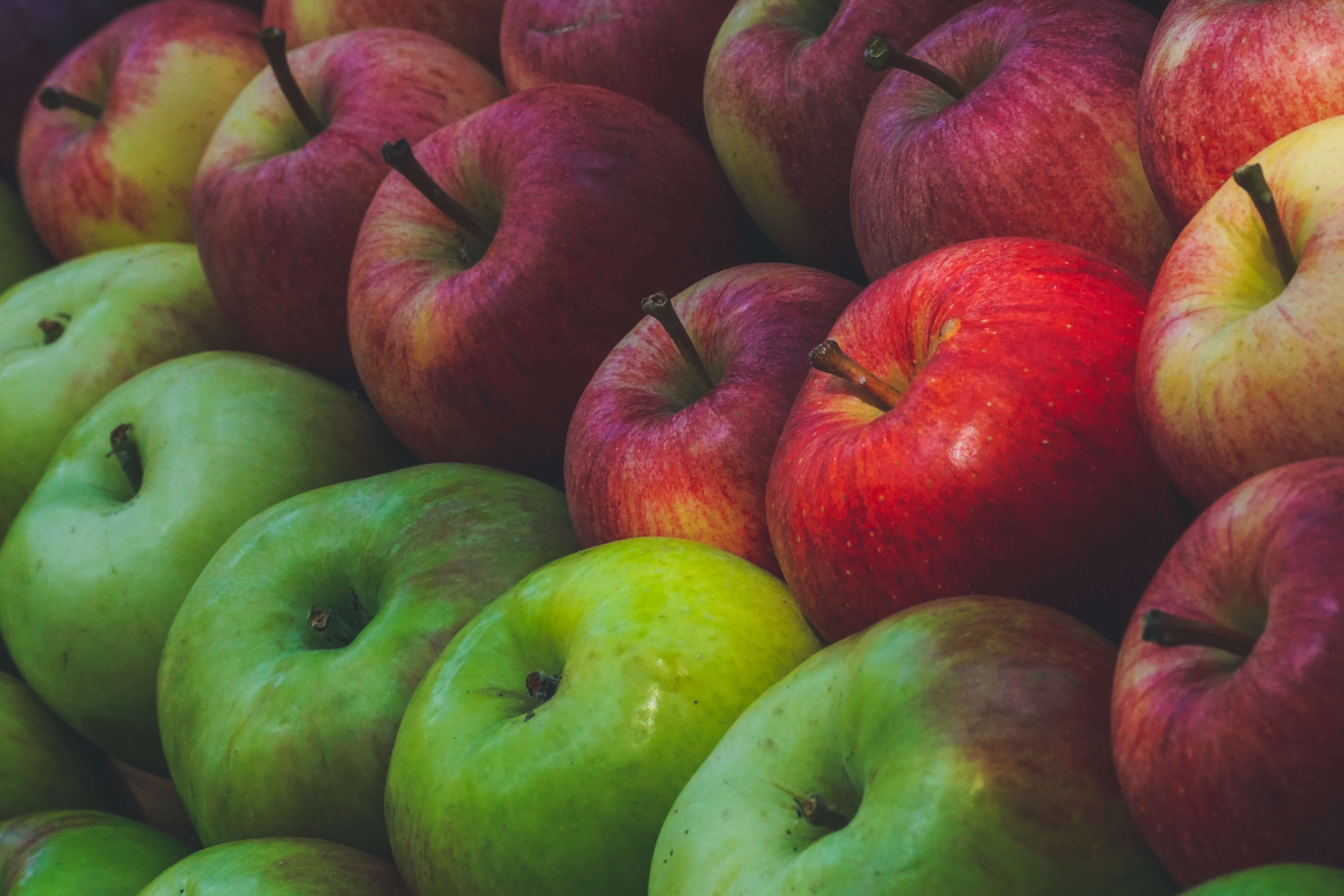 순환 과일 - 사과