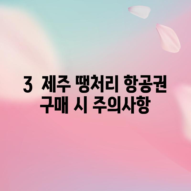 3.  제주 땡처리 항공권 구매 시 주의사항