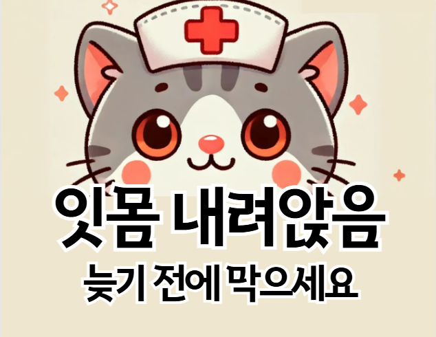 잇몸 내려앉음, 방치하면 치아 빠진다? 원인과 예방법 총정리
