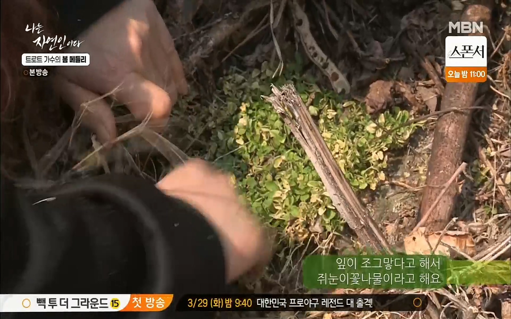 나는 자연인이다.E494.220323p.H264-F1RST.mp4_20220324_183449.398.jpg