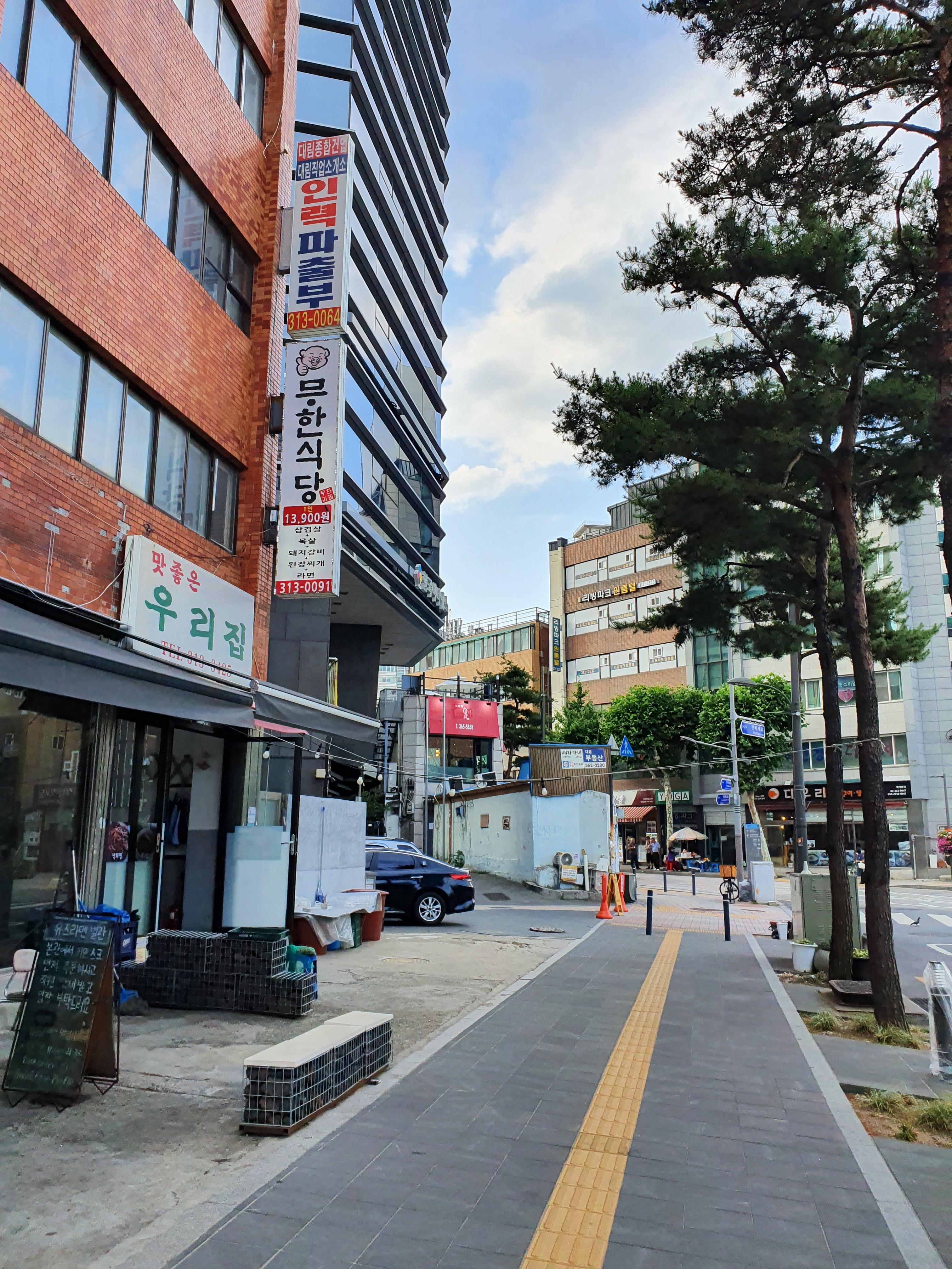 영덕막회 이미지