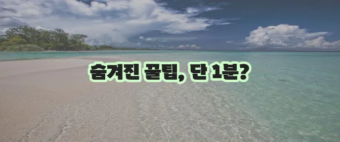 1분 만에 중고차 할부 완벽 정복하기