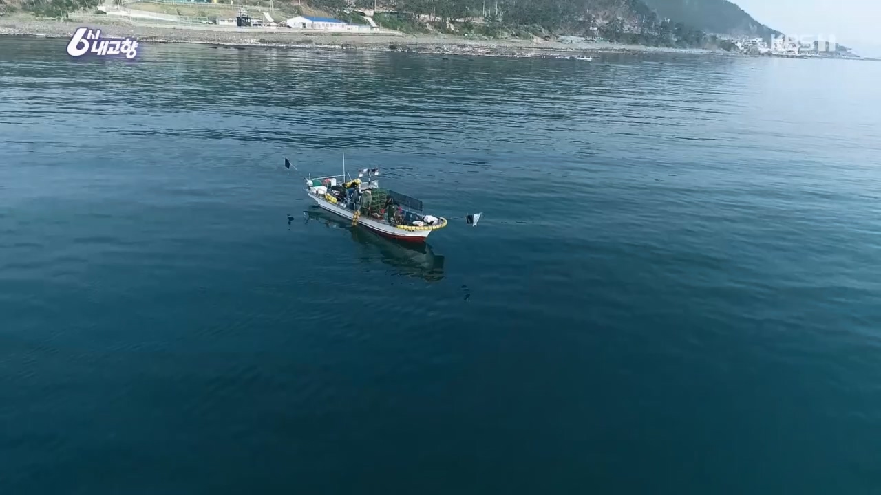 6시 내고향.E7763.230411p.H264-F1RST.mp4_20230411_203325.829.jpg