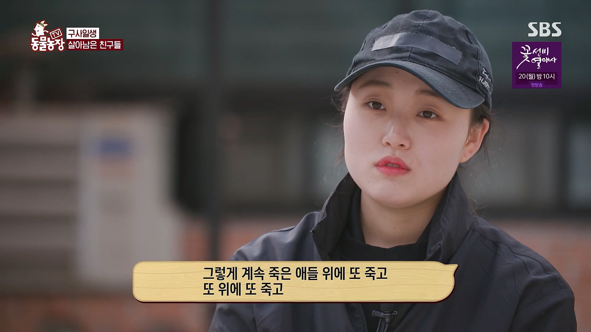 TV 동물농장.E1111.230312p.H264-F1RST.mp4_20230312_175951.821.jpg