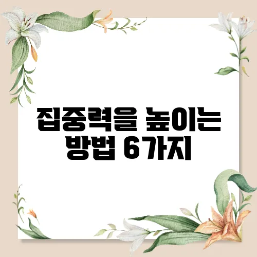 집중력을 높이는 방법 6가지