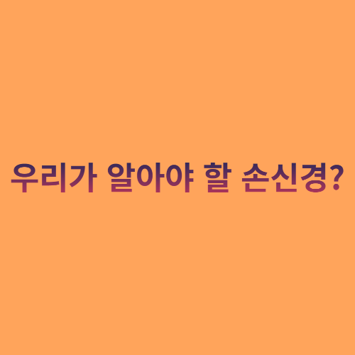  우리가 알아야 할 손신경?