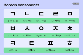 2024 개정 교육과정 교과 맞춤 학습법 초등학생 국어와 수학