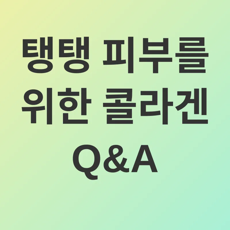 피부 건강_4