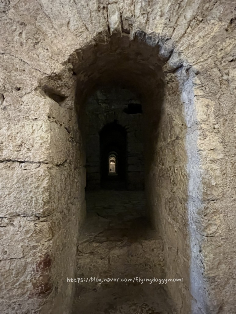 1세기는 포르투갈] 1세기 로마시대 지하 회랑을 경험할수 21