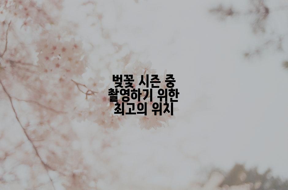 벚꽃 시즌 중 촬영하기 위한 최고의 위치