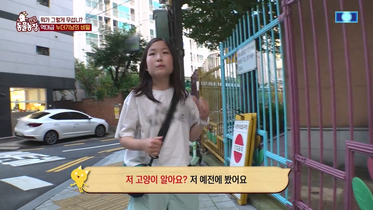 TV 동물농장.E1143.231030p-NEXT.mp4_20231029_163550.469.jpg