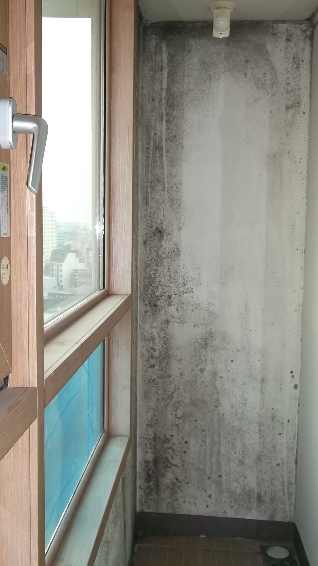  베란다 창고 곰팡이제거 확실하게!