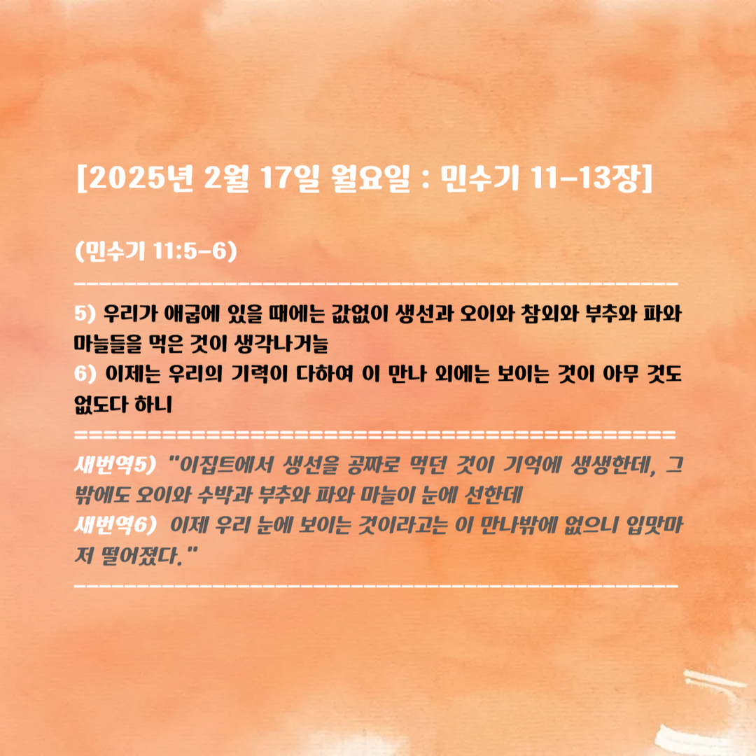 11-13 이미지