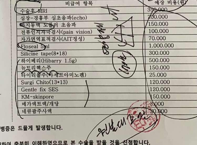  흥국화재 비급여 실비 가능한 목록
