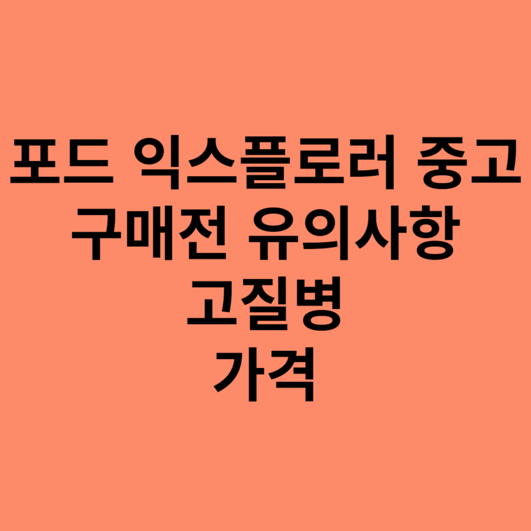 포드 익스플로러 중고 가격 고질병