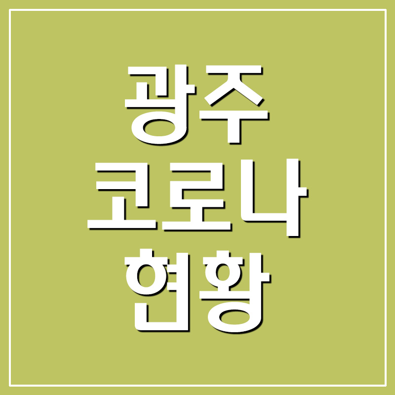  광주 코로나 확진자 현황