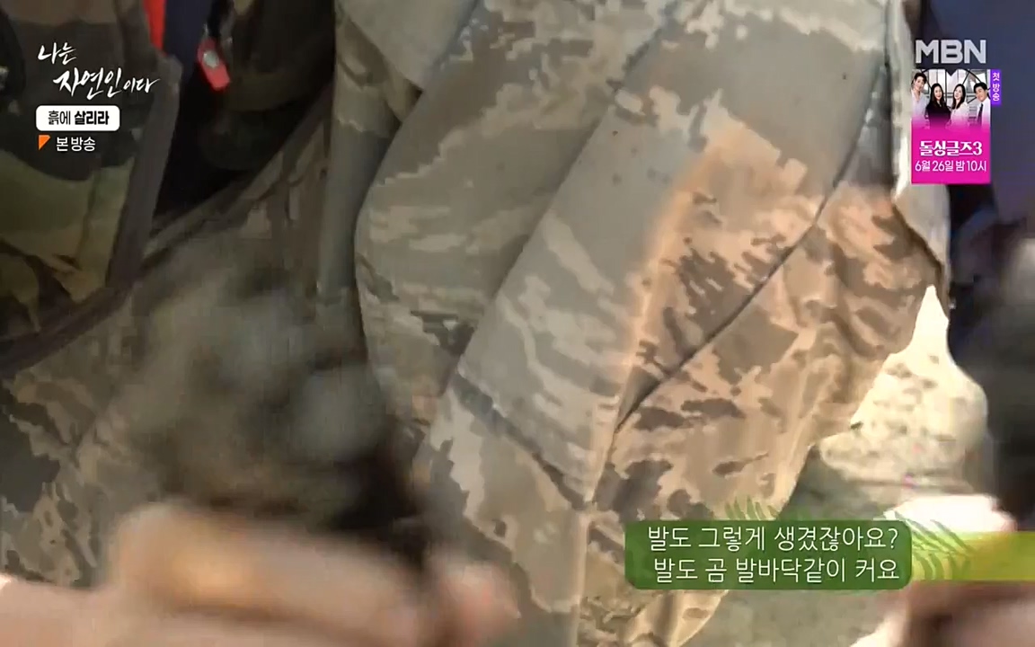 나는 자연인이다.E507.220623p-NEXT.mp4_20220623_204051.664.jpg