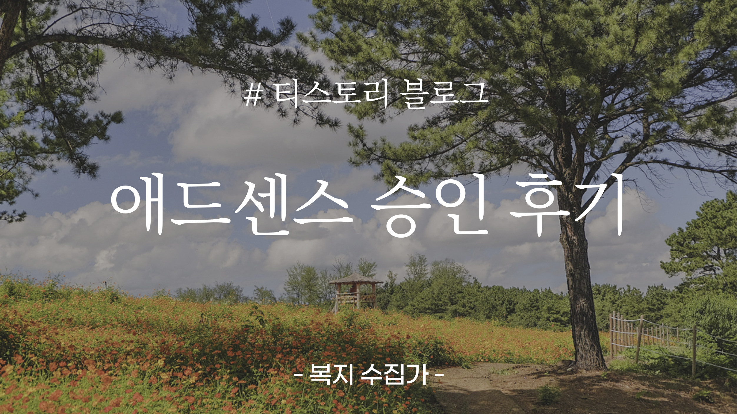 복지애드 이미지