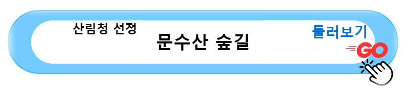 산림청 선정&#44; 걷기 좋은 네 가지 힐링 산책 숲길 여행 문수산 숲길