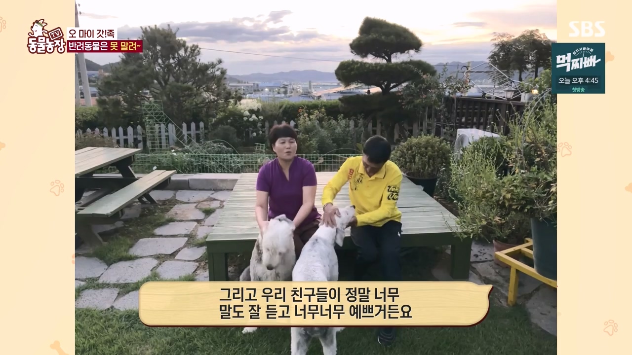 TV 동물농장.E1140.231009p-NEXT.mp4_20231008_174817.788.jpg