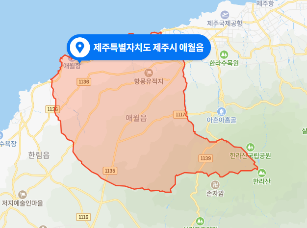  제주시 애월읍 8살 여아 1톤 화물차 교통사고 (2020년 11월 23일)