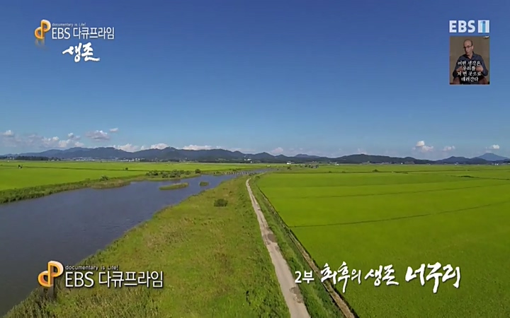 EBS 다큐프라임_ 220628.avi_20220629_205457.388.jpg