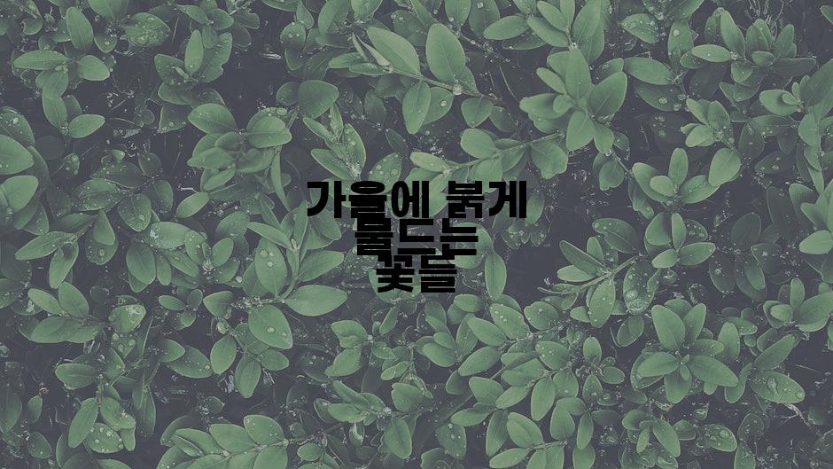 가을에 붉게 물드는 꽃들
