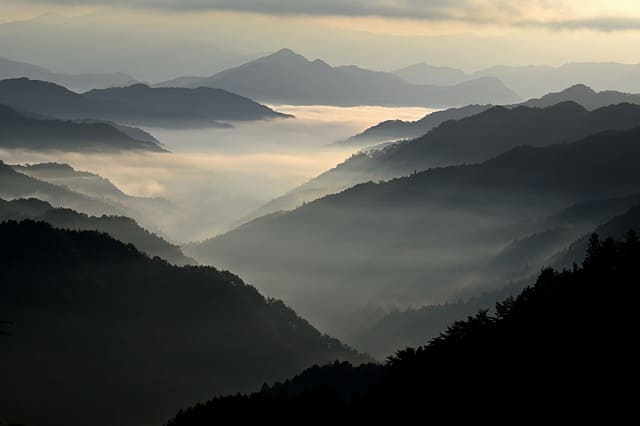 국립자연휴양림