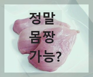 닭가슴살