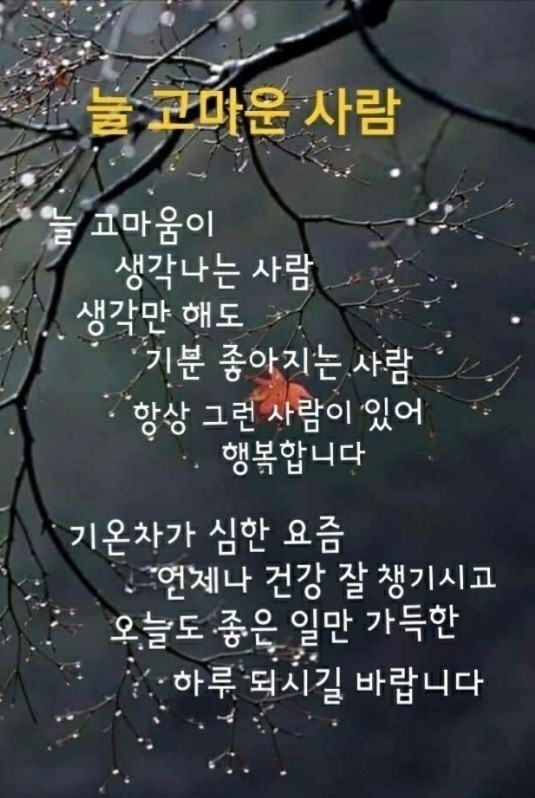 오호 이미지