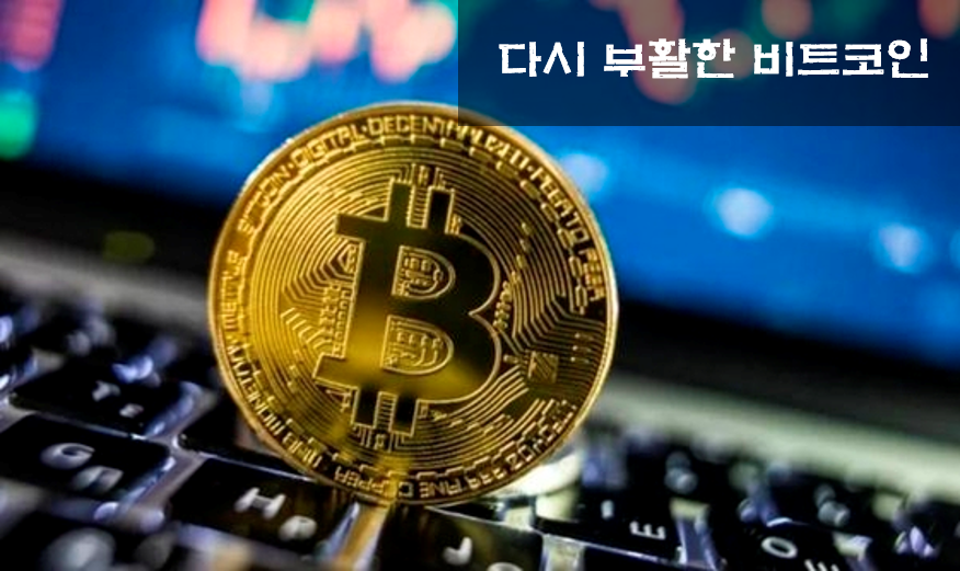  비트코인 상승 및 관련주 정리