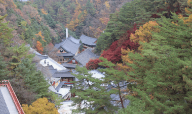 단양 가볼만한곳 베스트10