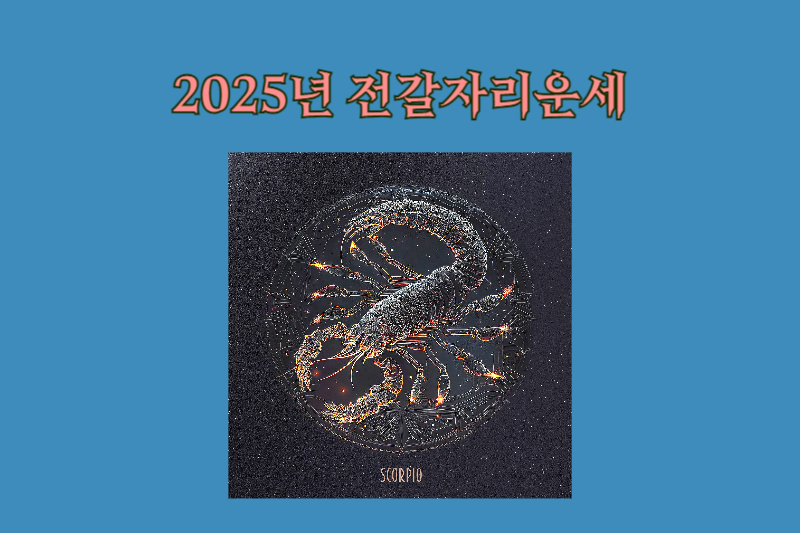 2025년 전갈자리운세 썸네일