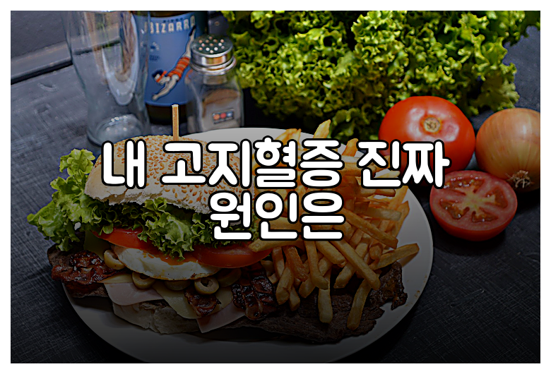 내 고지혈증 진짜 원인은