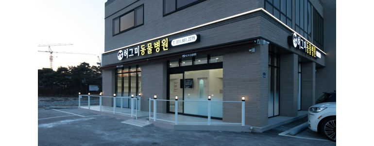 여주시 동물병원