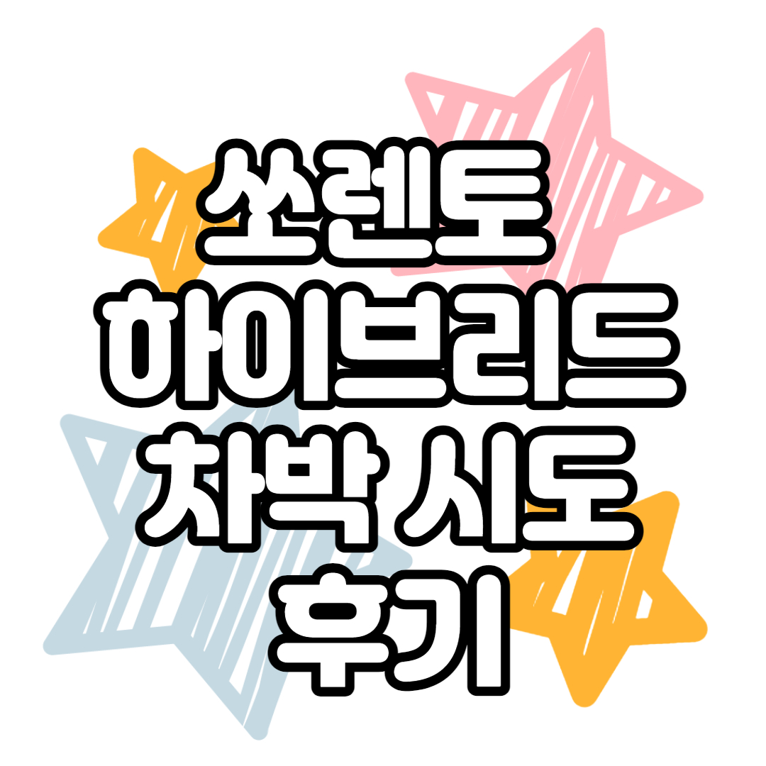  [MQ4] 쏘렌토 하이브리드 차박 시도 후기