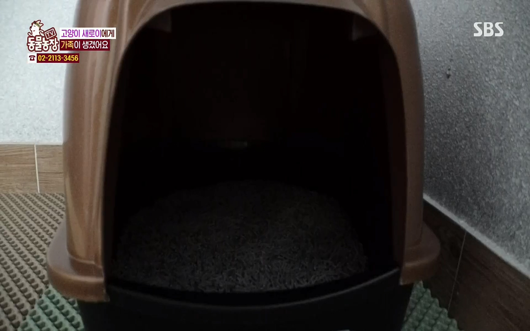 TV 동물농장.E1066.220424p.H264-F1RST.mp4_20220424_201031.698.jpg