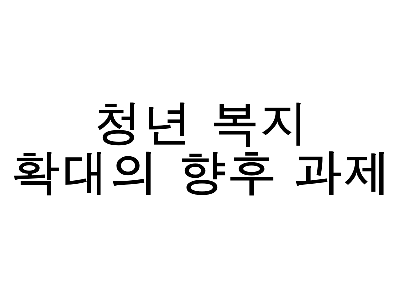 청년 복지 정책의 지속 가능성과 수요 반영의 과제를 상징하는 이미지