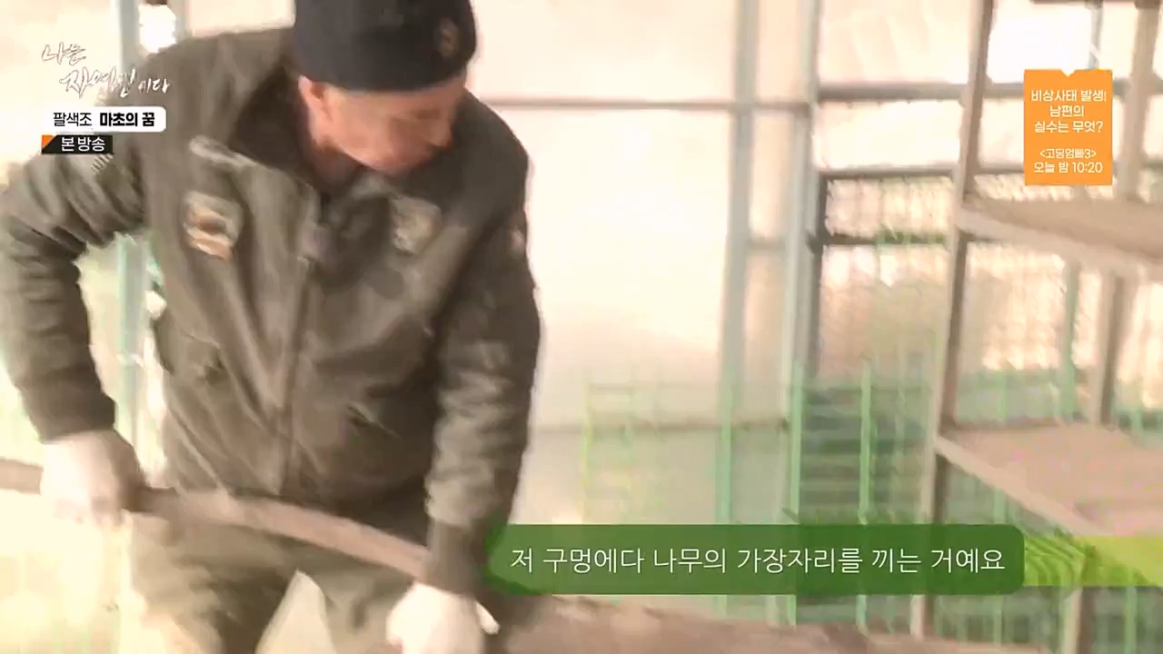 나는 자연인이다.E544.230309p-NEXT.mp4_20230309_191745.206.jpg