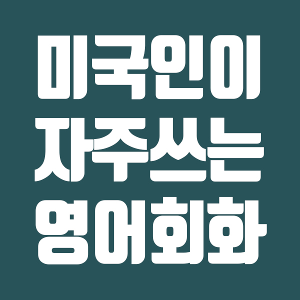  미국인이 자주쓰는 영어회화 모음집 113개