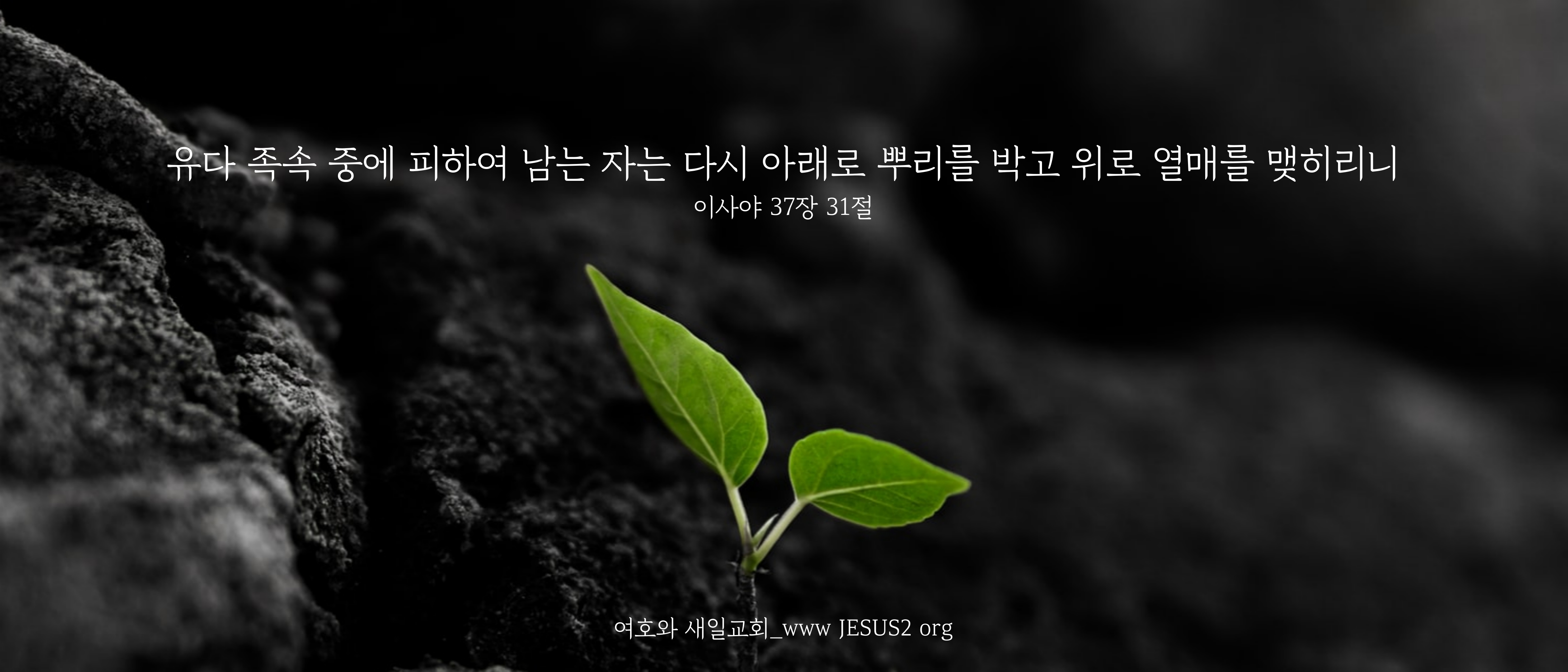  새일교회 성경분해원리 | 그리스도의 역사