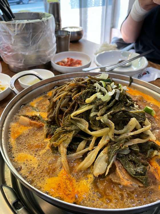 고구마 새싹 산