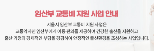 서울시 임산부 교통비 신청