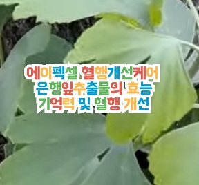 에이펙셀-혈행개선케어-내돈내산-후기