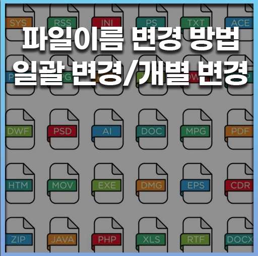 파일 이름 변경