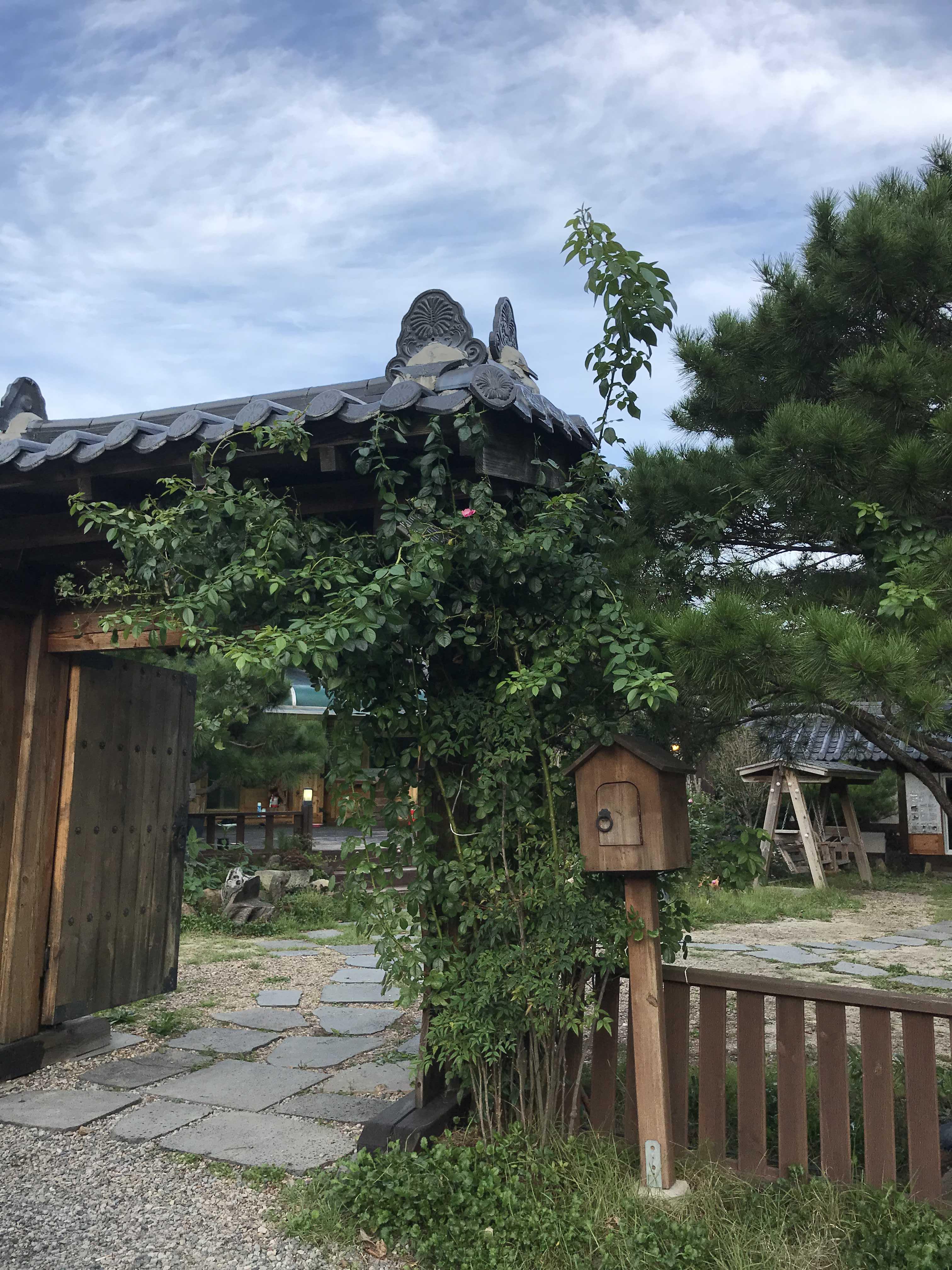  팔공산 나만의공간이 있는 방갈로 카페. Cafe 803