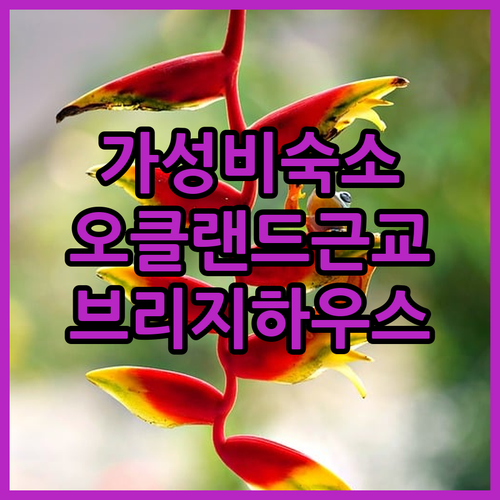 오클랜드 워크워스 숙소 추천 브리지하