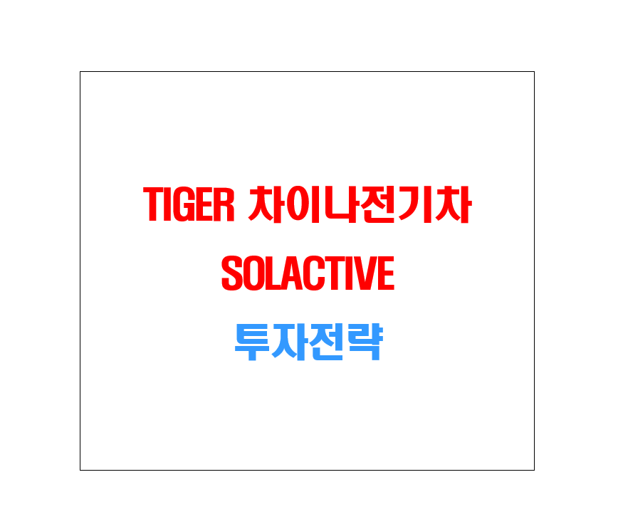 TIGER 차이나전기차 SOLACTIVE 투자전략