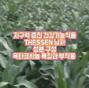 THESSEN-남자-1400-가격